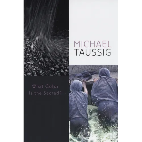 What Color Is the Sacred? - Paperback - IBook Store