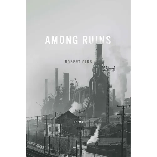 Among Ruins - Paperback - IBook Store