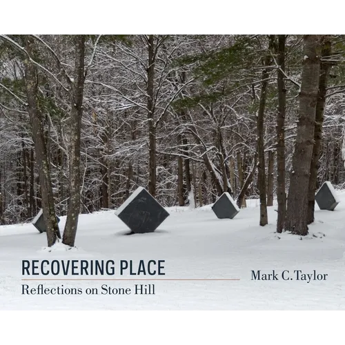 Recovering Place: Reflections on Stone Hill - Paperback - IBook Store