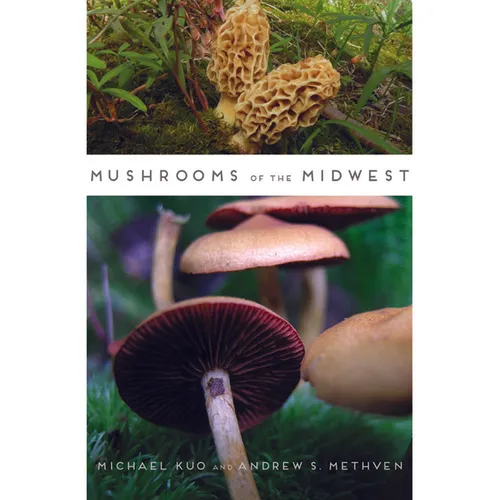 Mushrooms of the Midwest - Paperback - IBook Store