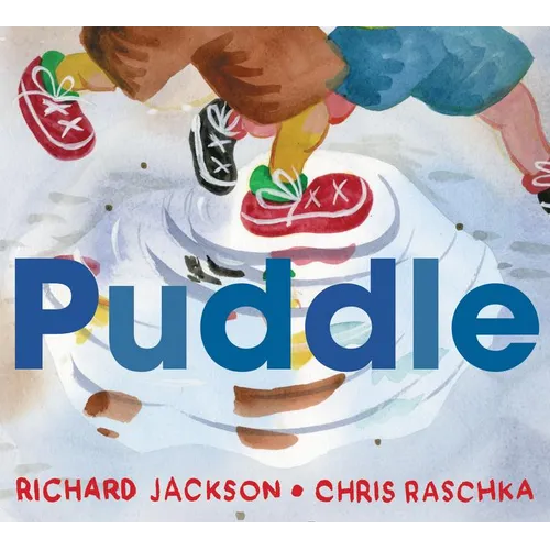 Puddle - Hardcover - IBook Store