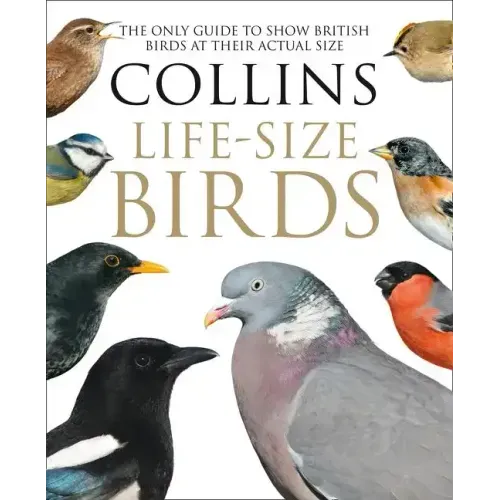 Collins Life-Size Birds: The Only Guide to Show British Birds at Their Actual Size