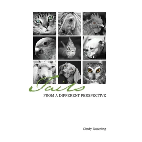 Tails from a Different Perspective - Hardcover - IBook Store