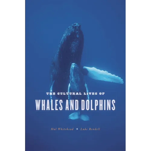 The Cultural Lives of Whales and Dolphins