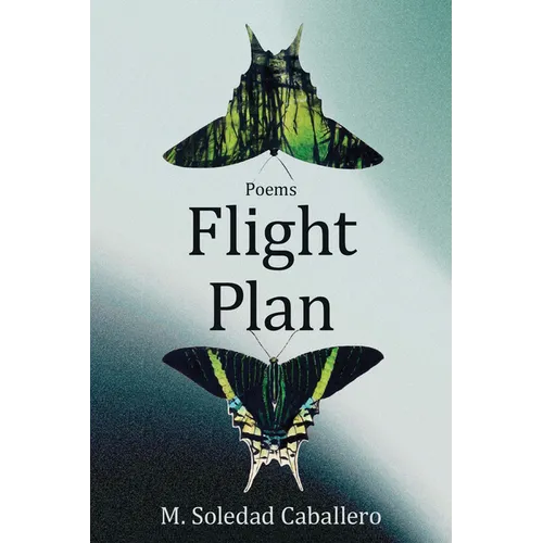 Flight Plan: Poems