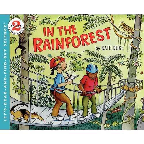 In the Rainforest - Paperback