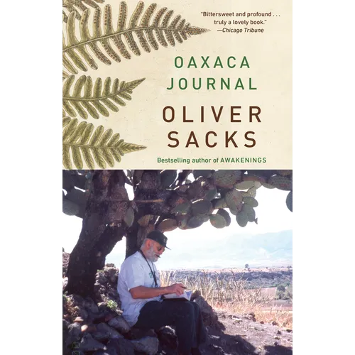 Oaxaca Journal
