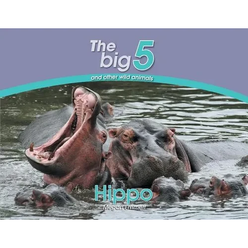 Hippo: The Big 5 and other wild animals