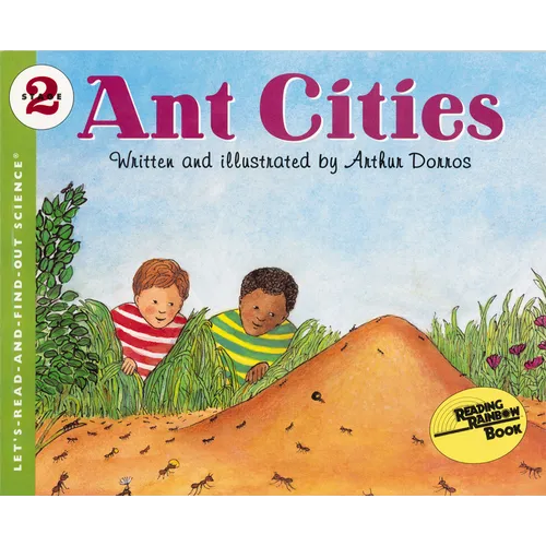 Ant Cities