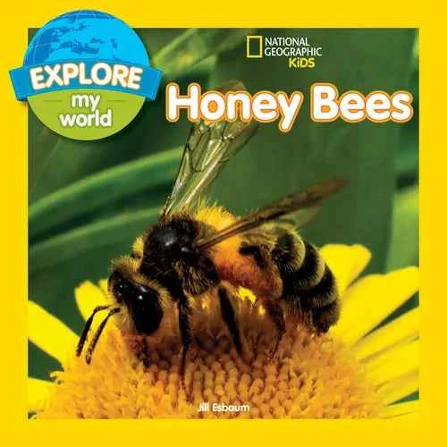 Explore My World: Honey Bees - Paperback