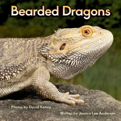 Bearded Dragons - Paperback - IBook Store