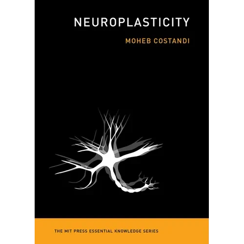 Neuroplasticity - Paperback - IBook Store