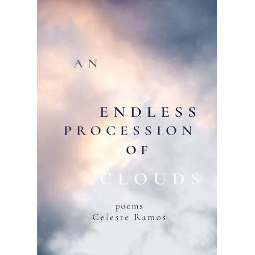An Endless Procession of Clouds - Paperback - IBook Store