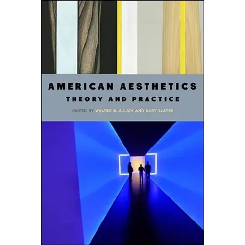 American Aesthetics: Theory and Practice - Hardcover