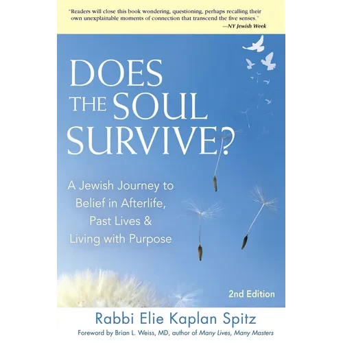 Does the Soul Survive? (2nd Edition): A Jewish Journey to Belief in Afterlife, Past Lives & Living with Purpose - Hardcover