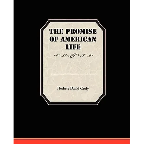 The Promise Of American Life - Paperback