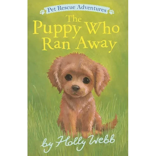 The Puppy Who Ran Away - Paperback