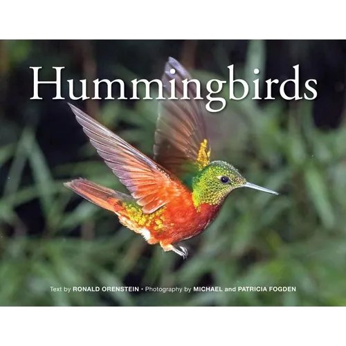 Hummingbirds - Paperback - IBook Store
