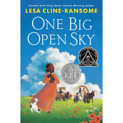One Big Open Sky - Paperback - IBook Store