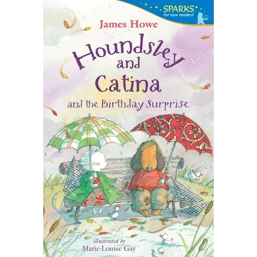 Houndsley and Catina and the Birthday Surprise - Paperback