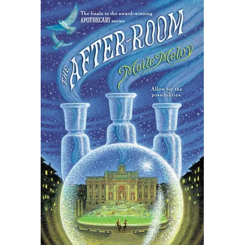 The After-Room - Paperback - IBook Store