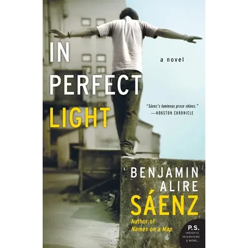In Perfect Light - Paperback