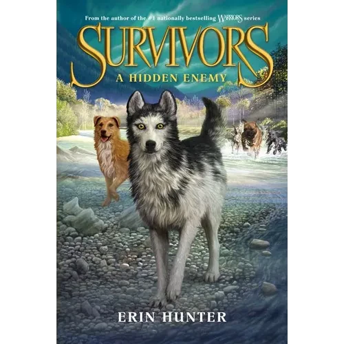 A Hidden Enemy - Paperback