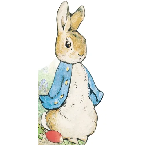 All about Peter - Board Book - IBook Store