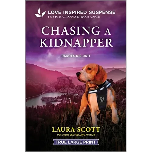 Chasing a Kidnapper - Paperback