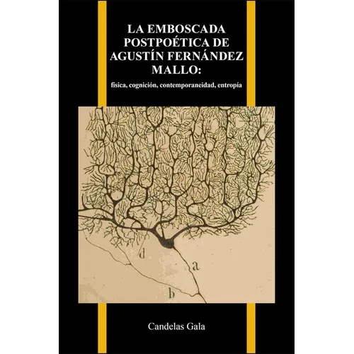 La emboscada postpoética de Agustín Fernández Mallo: física, cognición, contemporaneidad, entropía - Paperback