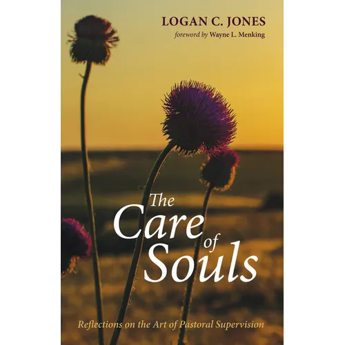 The Care of Souls: Reflections on the Art of Pastoral Supervision - Hardcover - IBook Store