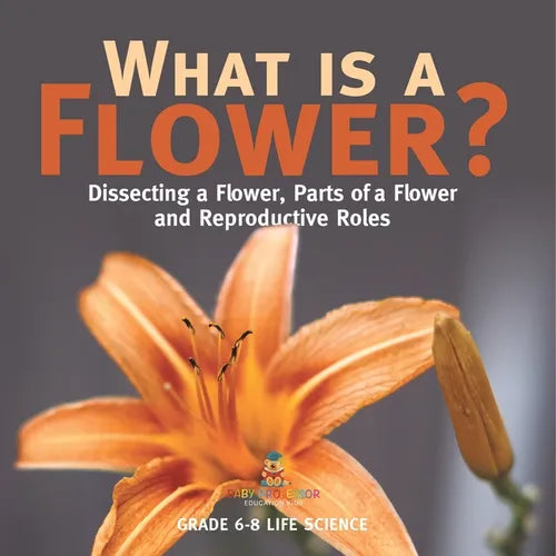 What is a Flower? Dissecting a Flower, Parts of a Flower and Reproductive Roles Grade 6-8 Life Science - Paperback