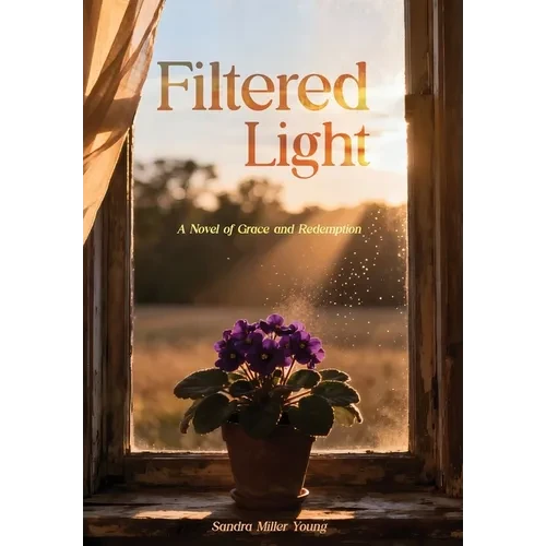 Filtered Light: A Novel of Grace and Redemption - Hardcover