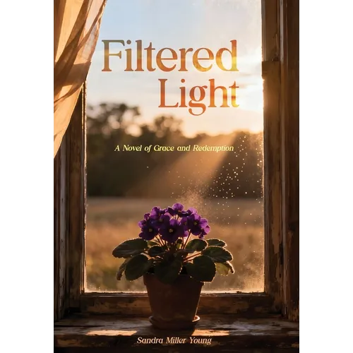 Filtered Light: A Novel of Grace and Redemption
