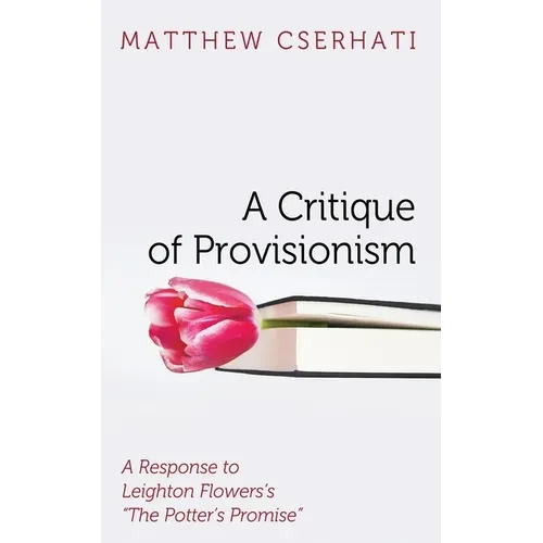 A Critique of Provisionism - Paperback