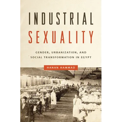 Industrial Sexuality: Gender, Urbanization, and Social Transformation in Egypt