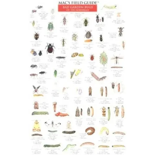 Mac's Field Guides: Northeast Garden Bugs