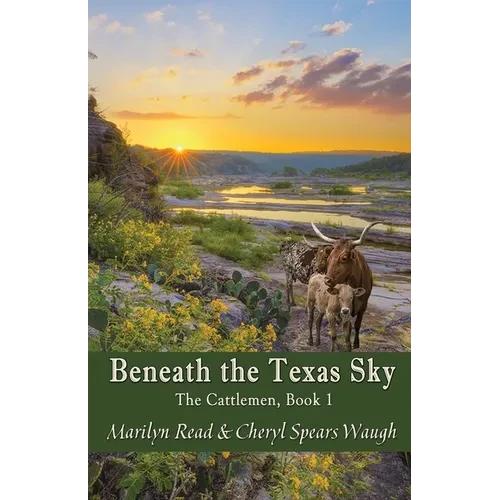 Beneath the Texas Sky - Paperback