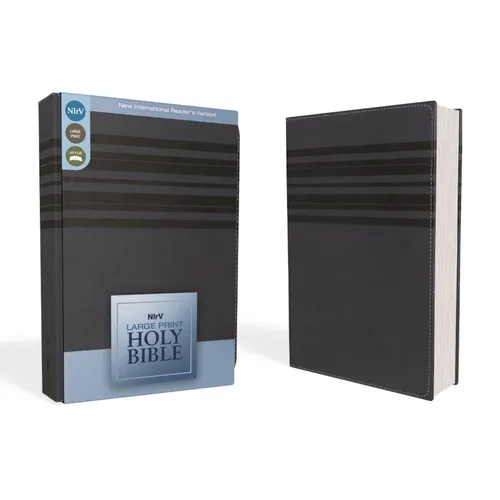 Large Print Bible-NIRV