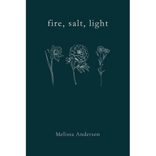 fire, salt, light - Paperback