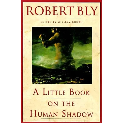 A Little Book on the Human Shadow - Paperback
