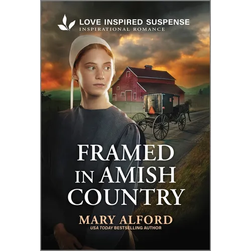 Framed in Amish Country: An Amish Suspense Novel