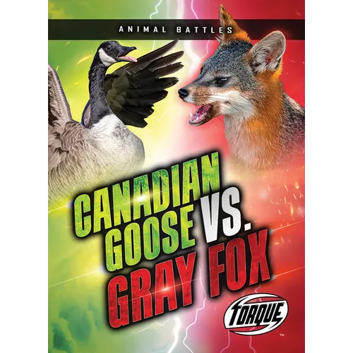Canada Goose vs. Gray Fox