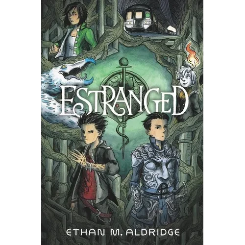 Estranged: A Graphic Novel - Paperback