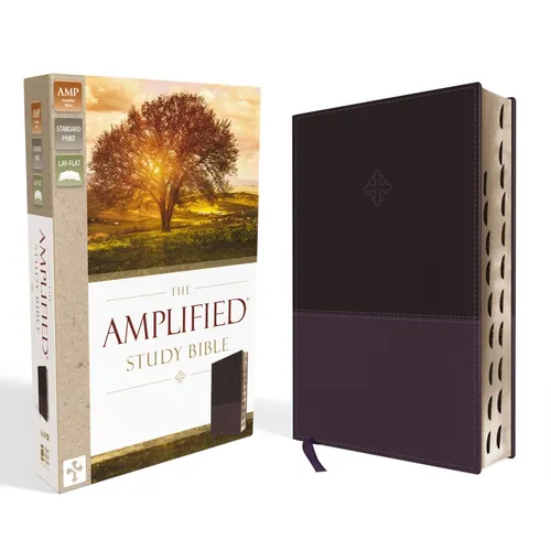 Amplified Study Bible, Imitation Leather, Purple, Indexed