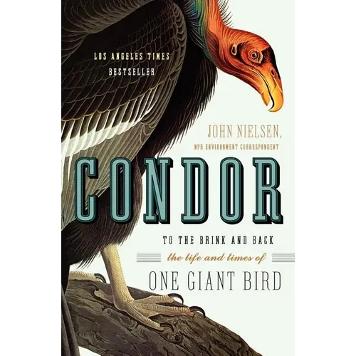 Condor: To the Brink and Back--The Life and Times of One Giant Bird - Paperback