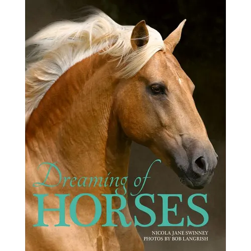 Dreaming of Horses - Paperback - IBook Store