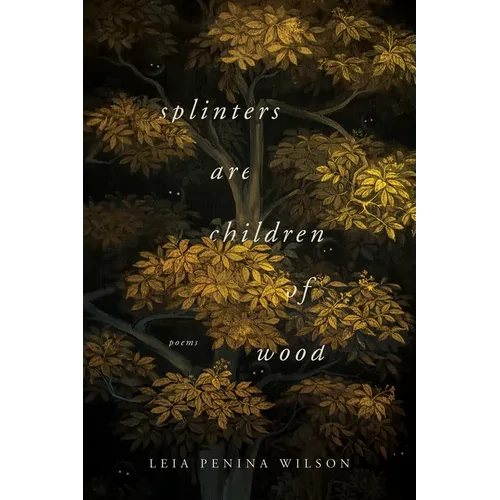 Splinters Are Children of Wood - Paperback - IBook Store