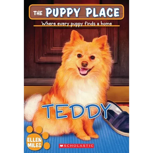 Teddy (the Puppy Place #28): Volume 28 - Paperback