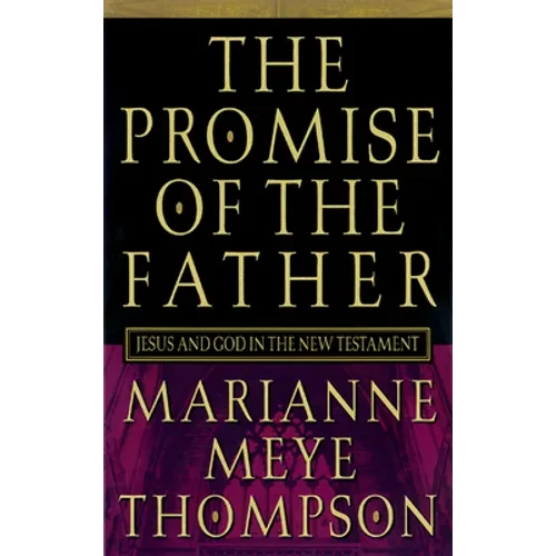 The Promise of the Father: Jesus and God in the New Testament - Paperback